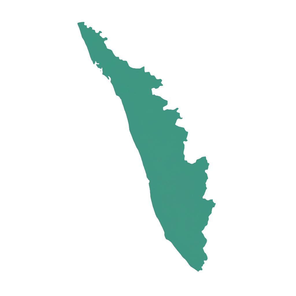 Professional Cleaning Team